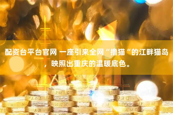 配资台平台官网 一座引来全网“撸猫“的江畔猫岛，映照出重庆的温暖底色。