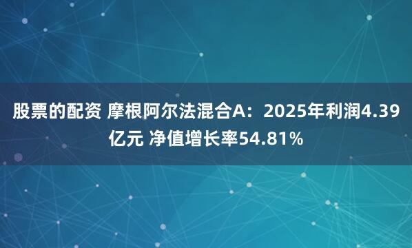 股票的配资 摩根阿尔法混合A：2025年利润4.39亿元 净值增长率54.81%