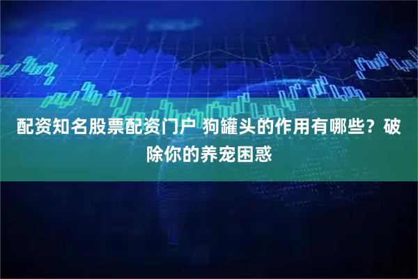 配资知名股票配资门户 狗罐头的作用有哪些？破除你的养宠困惑